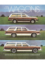 1981 Ford Wagons