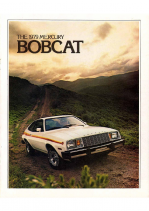 1979 Mercury Bobcat