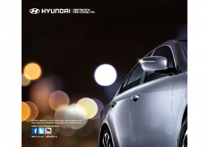 2014 Hyundai Full Line V1