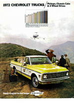 1972 Chevrolet Trucks