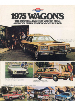 1975 Chevrolet Wagons