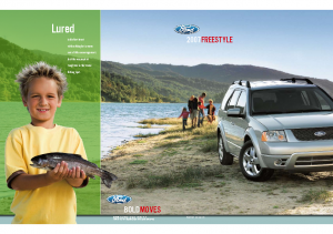 2007 Ford Freestyle – Dealer
