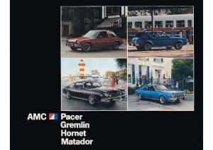 1976 AMC Full Line