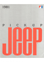 1981 Jeep Pickup