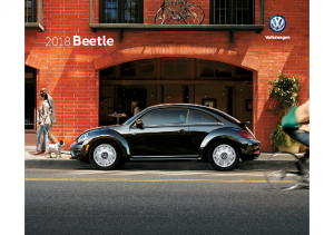 2018 VW Beetle