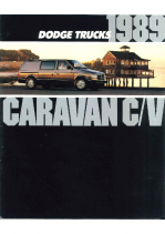 1989 Dodge Caravan CV