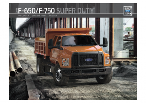 2019 Ford F-650-750