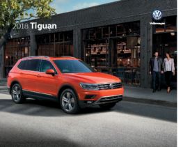 2018 VW Tiguan V2
