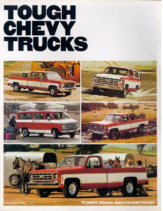 1977 Tough Chevy Trucks