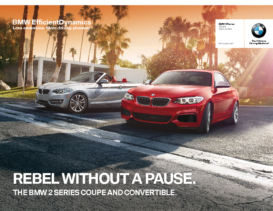 2016 BMW 2 Series Coupe-Convertible