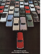 1972 VW Line-Up