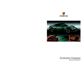2011 Porsche Cayman Exclusive
