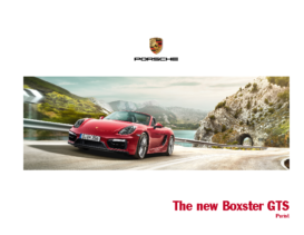 2014 Porsche Boxster GTS V1