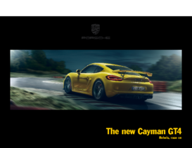 2015 Porsche Cayman GT4 V1