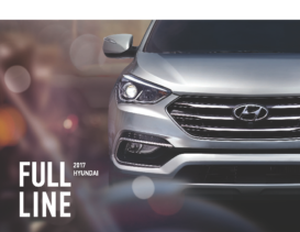 2017 Hyundai Full Line V2