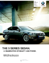 2013 BMW 5 Series Sedan