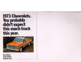 1973 Chevrolet Truck Mailer