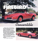 1982 Pontiac Firebird Convertible Sheet