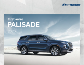 2020 Hyundai Palisade CN