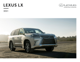 2021 Lexus LX CN
