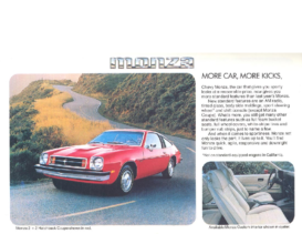 1979 Chevrolet Monza Foldout
