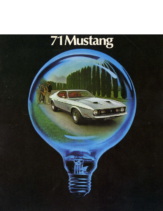 1971 Ford Mustang V1