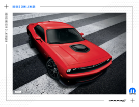 2020 Dodge Challenger Accessories