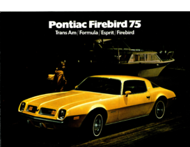 1975 Pontiac Firebird Foldout CN