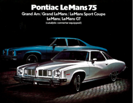 1975 Pontiac LeMans CN