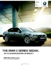 2013 BMW 5 Series Sedan CN