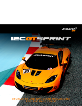 2014 McLaren 12CGT Sprint