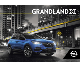 2019 Opel Grandland X