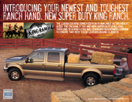 2003 Ford F150-F250 King Ranch Flyer