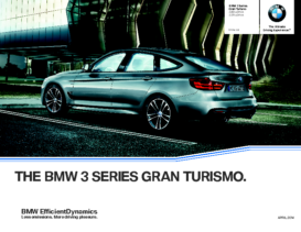 2014 BMW 3 Series Gran Turismo CN