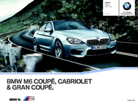 2014 BMW M6 CN