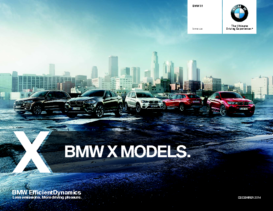 2015 BMW X1 CN