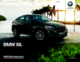 2015 BMW X6 CN