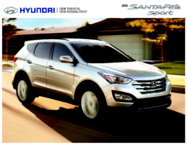 2015 Hyundai Santa Fe Sport CN