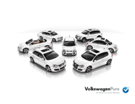 2010 VW Pure CN