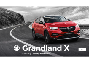2021 Vauxhall Grandland X UK