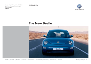 2005 VW Beetle UK