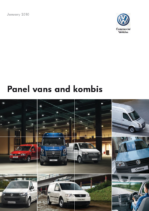 2010 VW Panel Van UK
