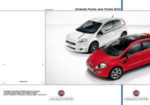 2009 Fiat Punto Evo Accessories UK