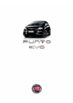 2010 Fiat Punto EVO UK