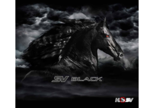 2016 HSV GEN F2 Limited Edition SV Black AUS