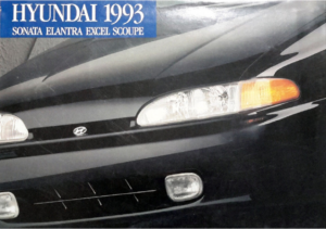 1993 Hyundai Model Range CN