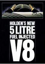 1989 Holden Commodore 5 Litre V8 AUS