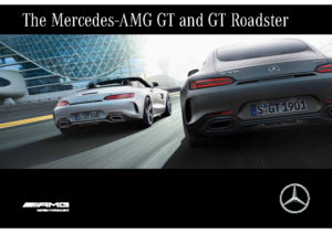 2017 Mercedes-Benz AMG GT Coupe AUS