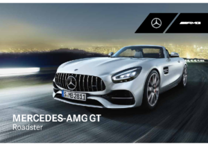 2020 Mercedes-Benz AMG GT Roadster AUS