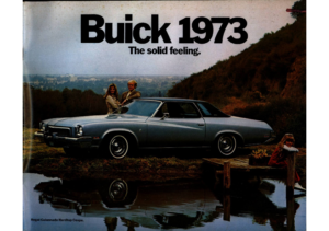 1973 Buick Full Line